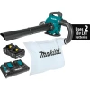 Makita XBU04PTV 18V X2 (36V) LXT Lithium‑Ion Blower Kit