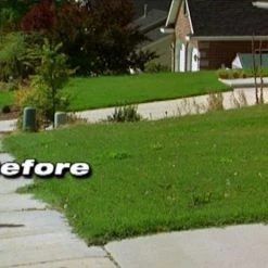 Cordless Battery Powered WORX GT WG150 18-Volt 10-Inch Grass String Trimmer and Edger -Handheld Power Equipment Sales 51ycqowakfl