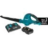 Makita XBU01PT Lithium‑Ion Cordless Blower Kit (5.0Ah)